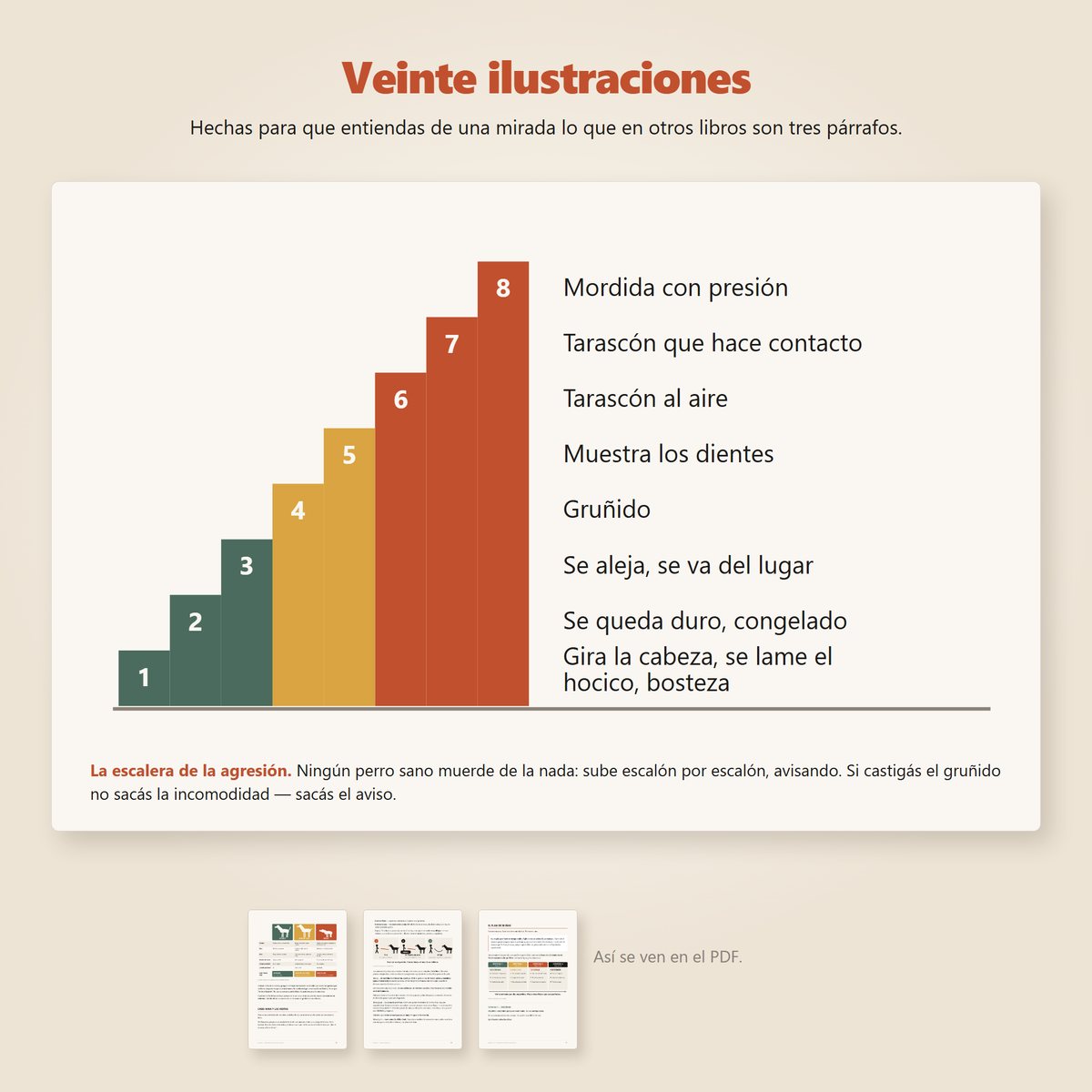 La escalera de la agresión, una de las veinte ilustraciones del libro, junto a hojas reales del PDF.