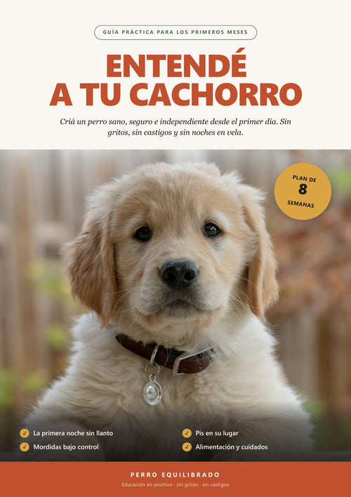 Tapa del ebook Entendé a tu Cachorro: guía práctica para los primeros meses, con un cachorro golden y el sello Plan de 8 semanas